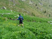 60 Bel verde intorno alla Baita Nicola ricca d'acqua 